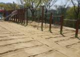 서울 신상도초등학교 모래소독 